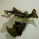 Taxidermy of a yellow pike fish