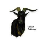 Spanish Goat